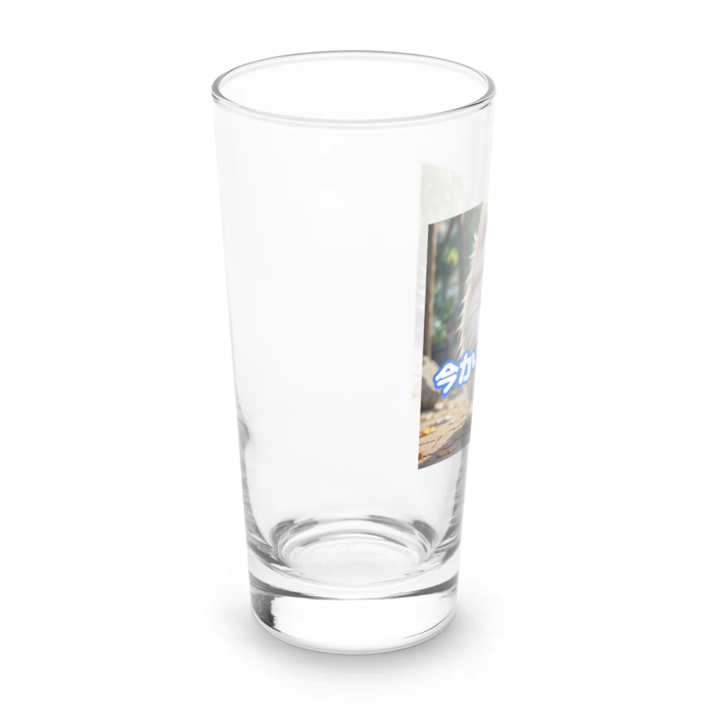 tagamiya7の今から行くポメチワ Long Sized Water Glass :left