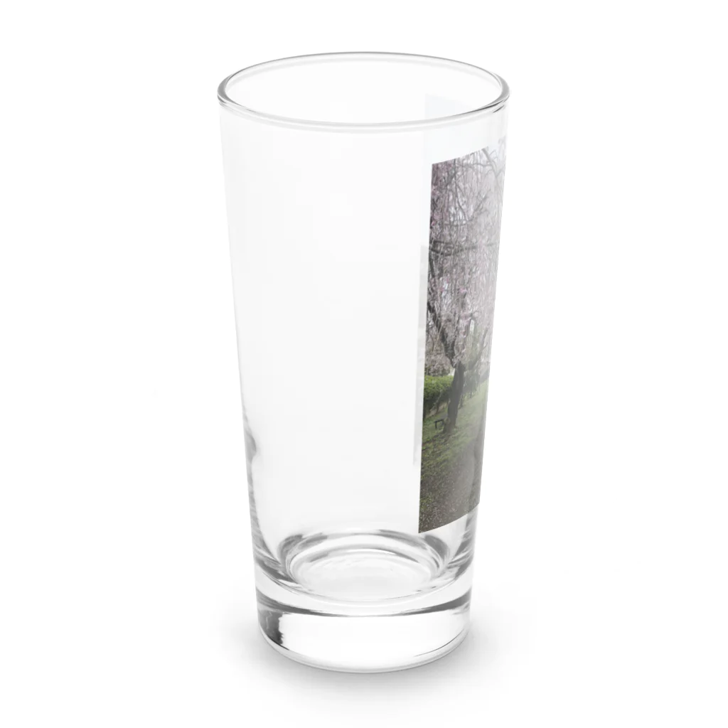 saitama-eit88の川桜 Long Sized Water Glass :left