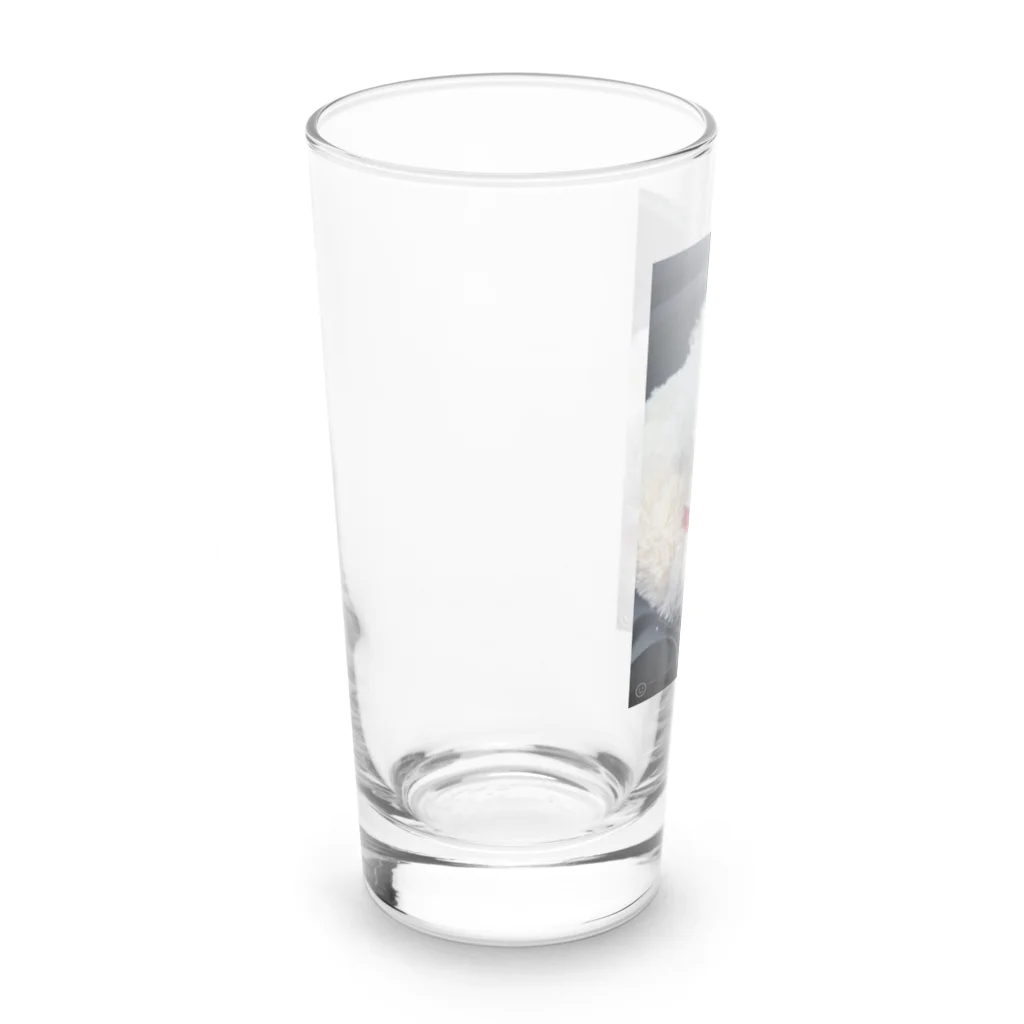 katu69のK太郎s Long Sized Water Glass :left