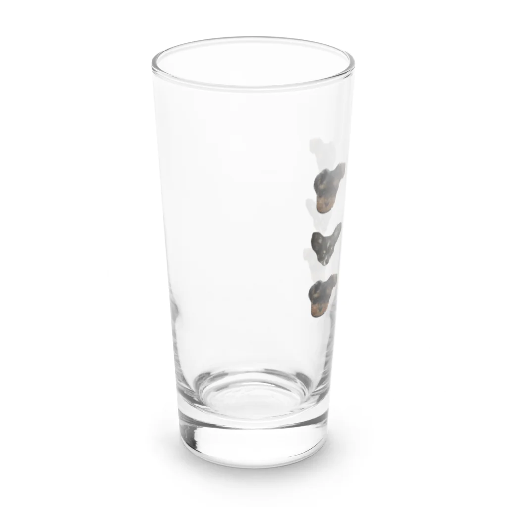 チワワのバレンとヨープーのテアのチワワとヨープー Long Sized Water Glass :left