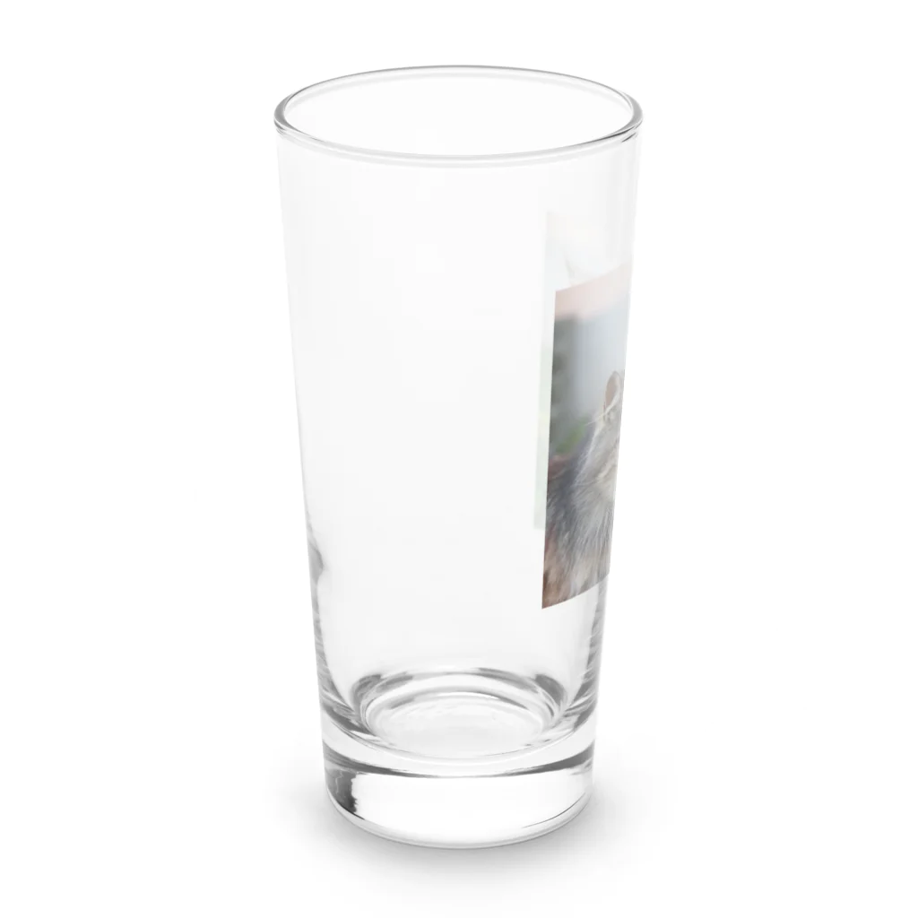 ニゴ猫　shopの愛だろう愛 Long Sized Water Glass :left