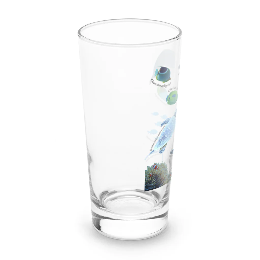 L_arctoaの沖縄の海の生き物 Long Sized Water Glass :left