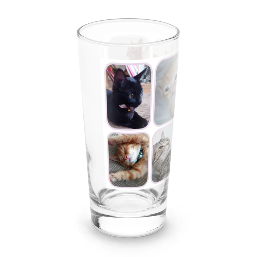 サーバルさんと仲良し家族😻のにゃんこ大集合 Long Sized Water Glass :left