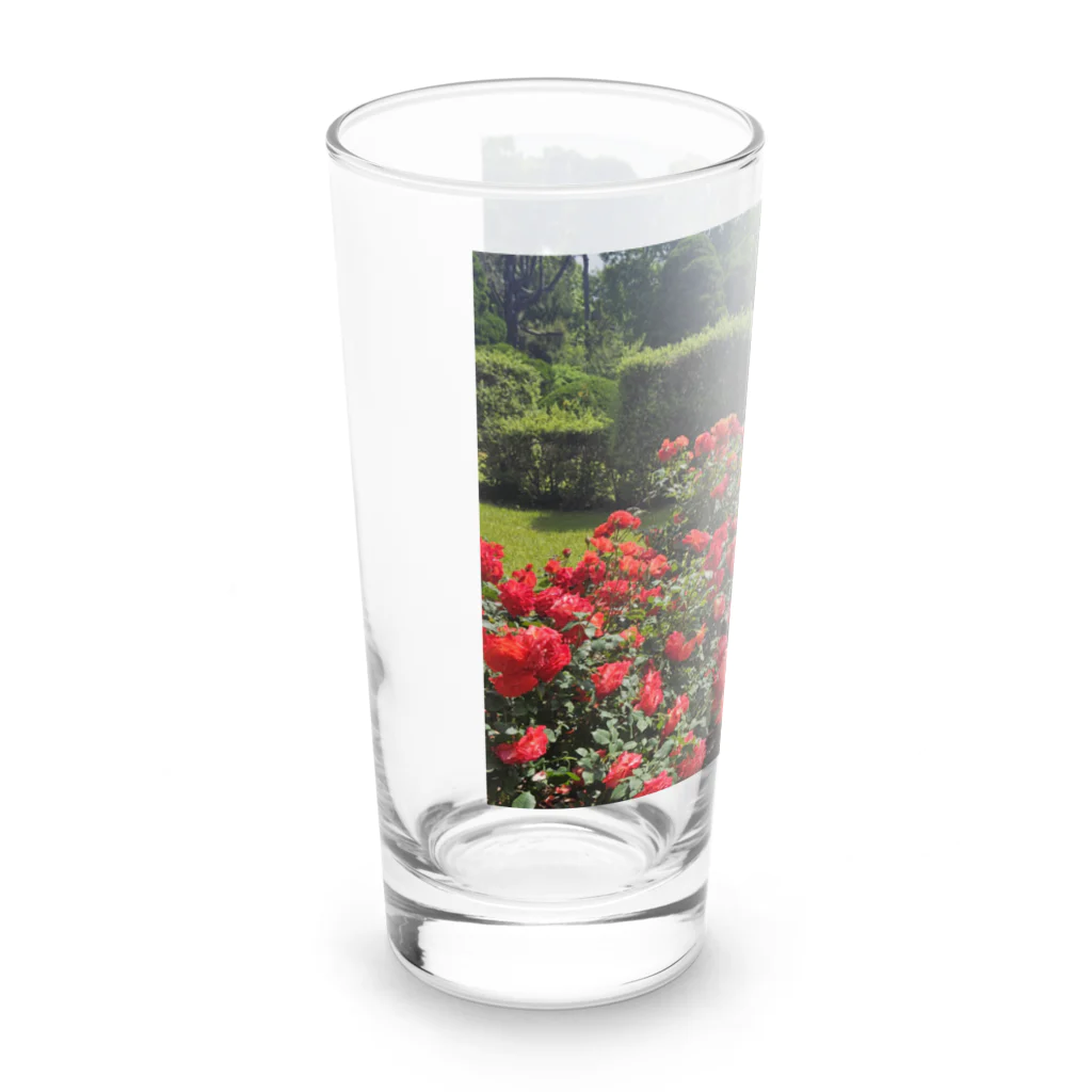 A.santeの薔薇が咲いたよ Long Sized Water Glass :left