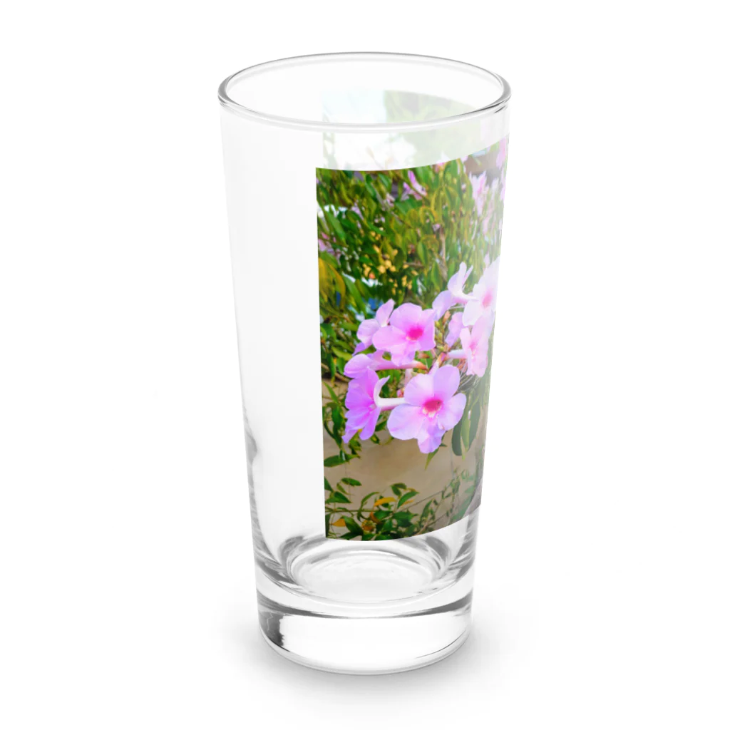 終わらない夢🌈の実写シリーズ【初夏の美しい花🌸】 Long Sized Water Glass :left