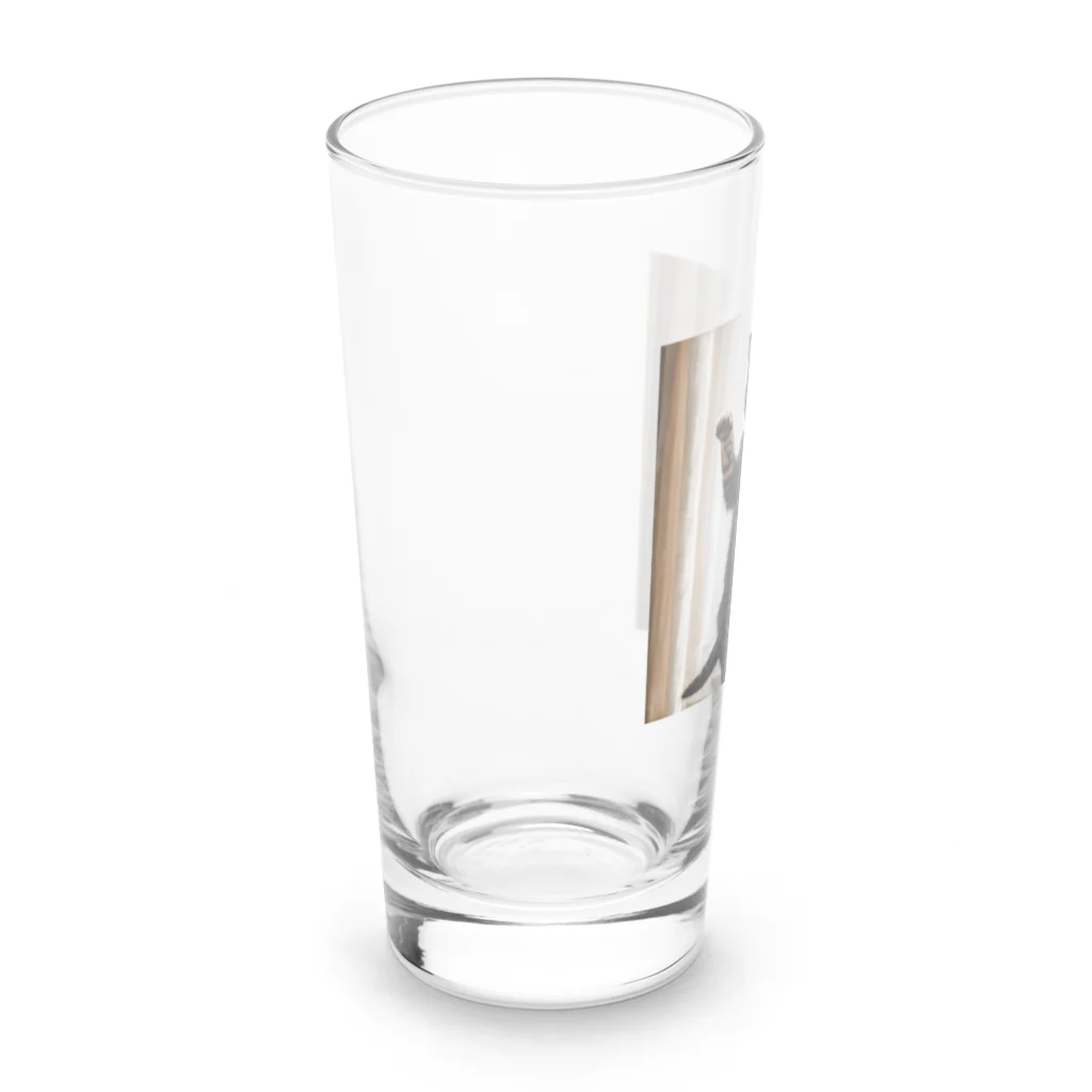 DQ9 TENSIのカーテンと遊ぶ愛らしい猫ちゃん Long Sized Water Glass :left