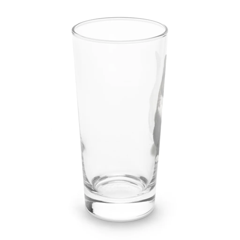 kinako-japanのくつした猫のくろみつ Long Sized Water Glass :left