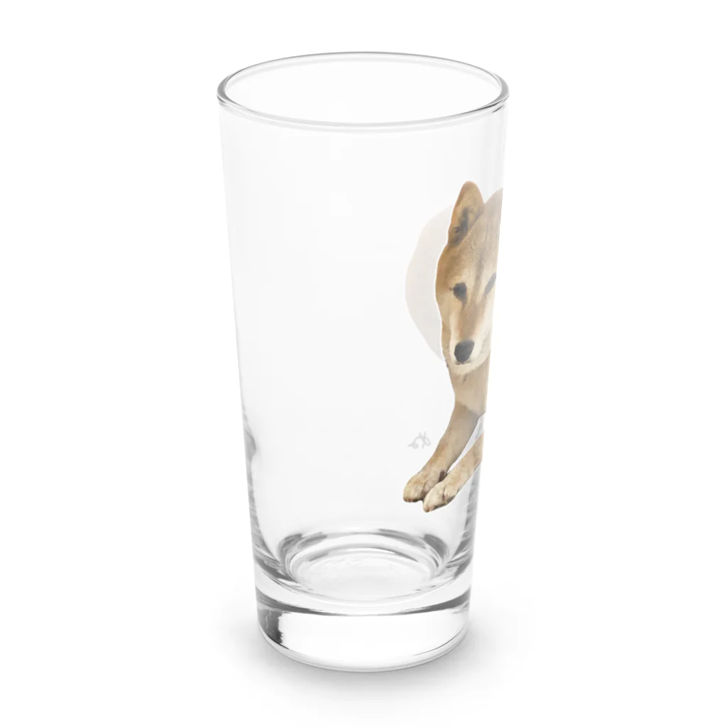 柴犬しばわんこhana873の伏せ？してる柴犬さん Long Sized Water Glass :left