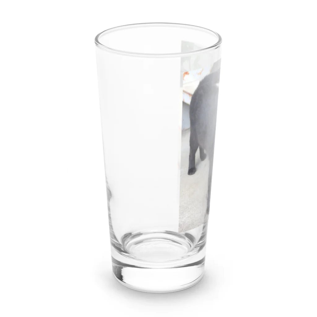 nightwalkerの黒ひょうぜッッ！ Long Sized Water Glass :left