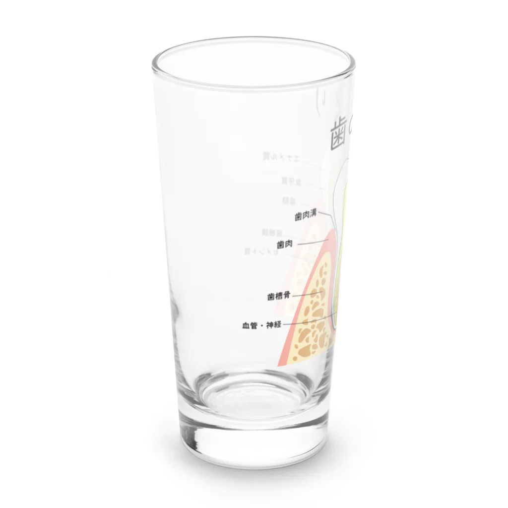 miu8080の歯のつくり Long Sized Water Glass :left