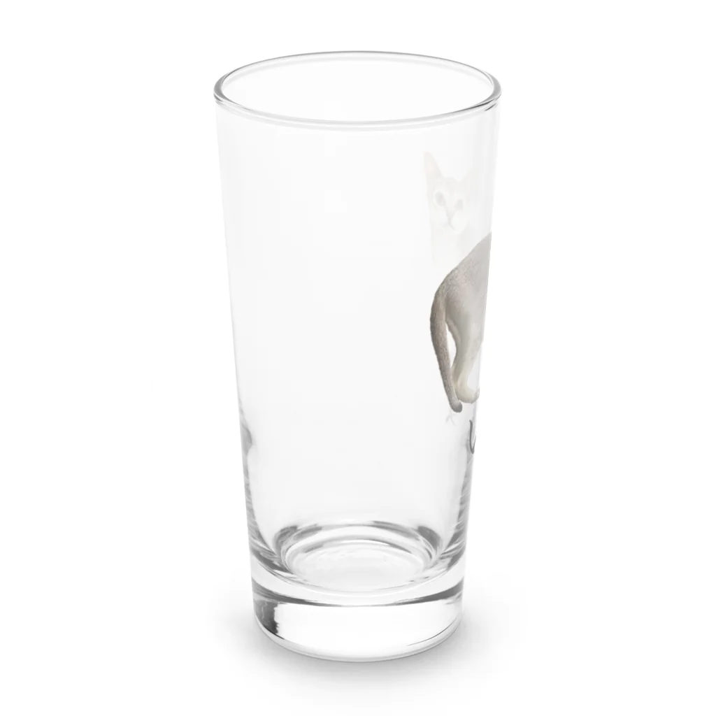 矛盾の森。のいぬ。 Long Sized Water Glass :left