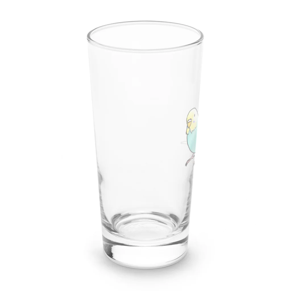 まめるりはことりのごきげんセキセイインコ【まめるりはことり】 Long Sized Water Glass :left