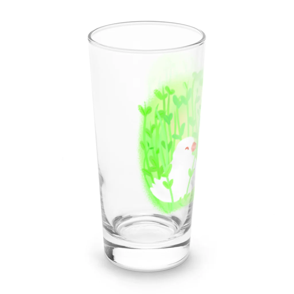 Lily bird（リリーバード）の豆苗とセキセイと文鳥と Long Sized Water Glass :left