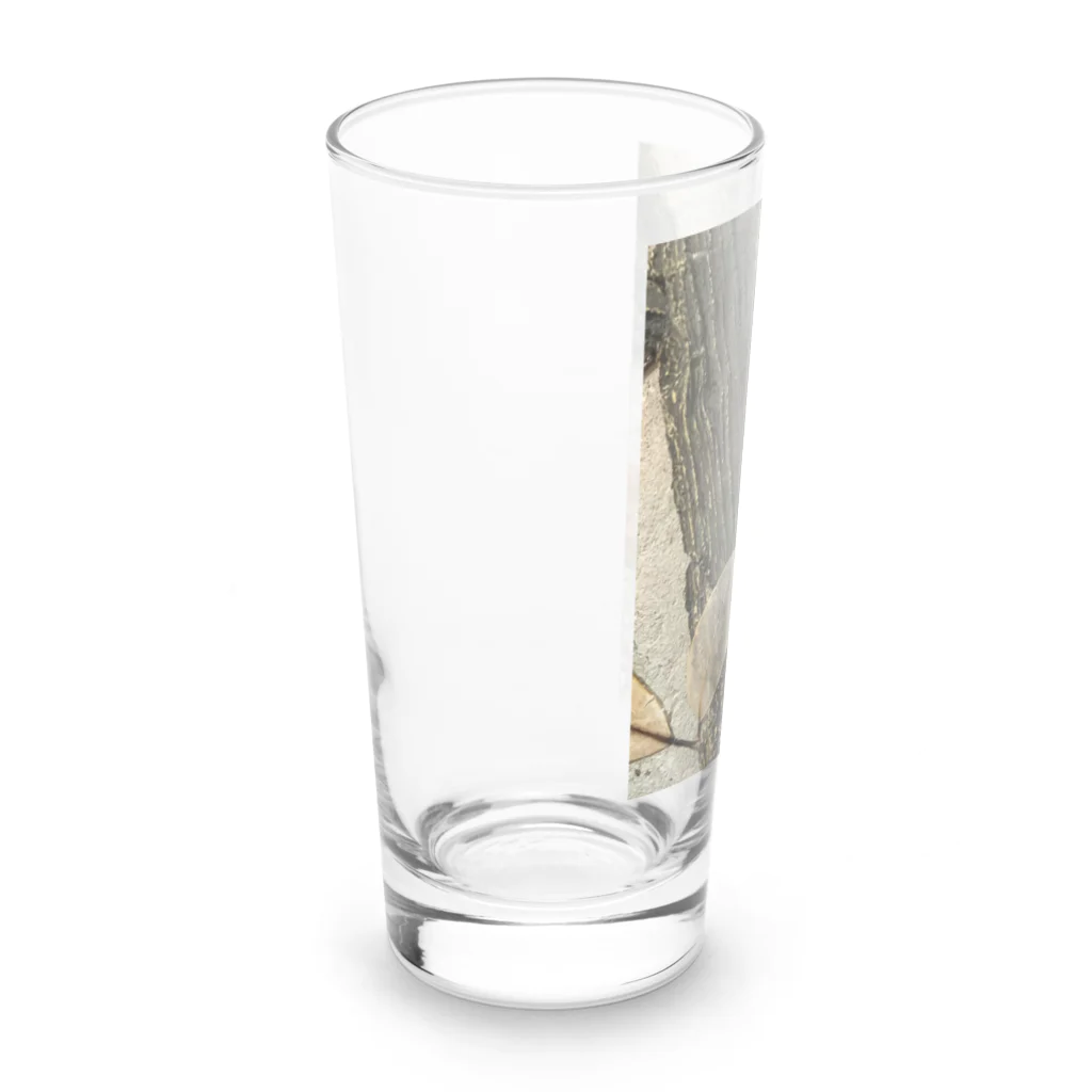 RINA SHOPの葉脈 Long Sized Water Glass :left