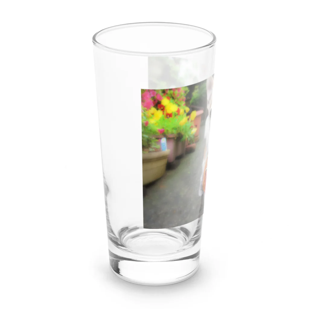 akane_art（茜音工房）のカラフルチワワ（フラワー） Long Sized Water Glass :left