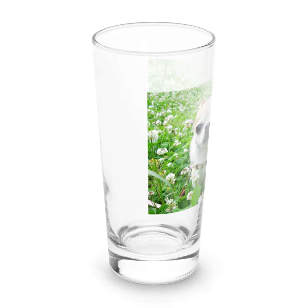 akane_art（茜音工房）のカラフルチワワ（クローバー） Long Sized Water Glass :left