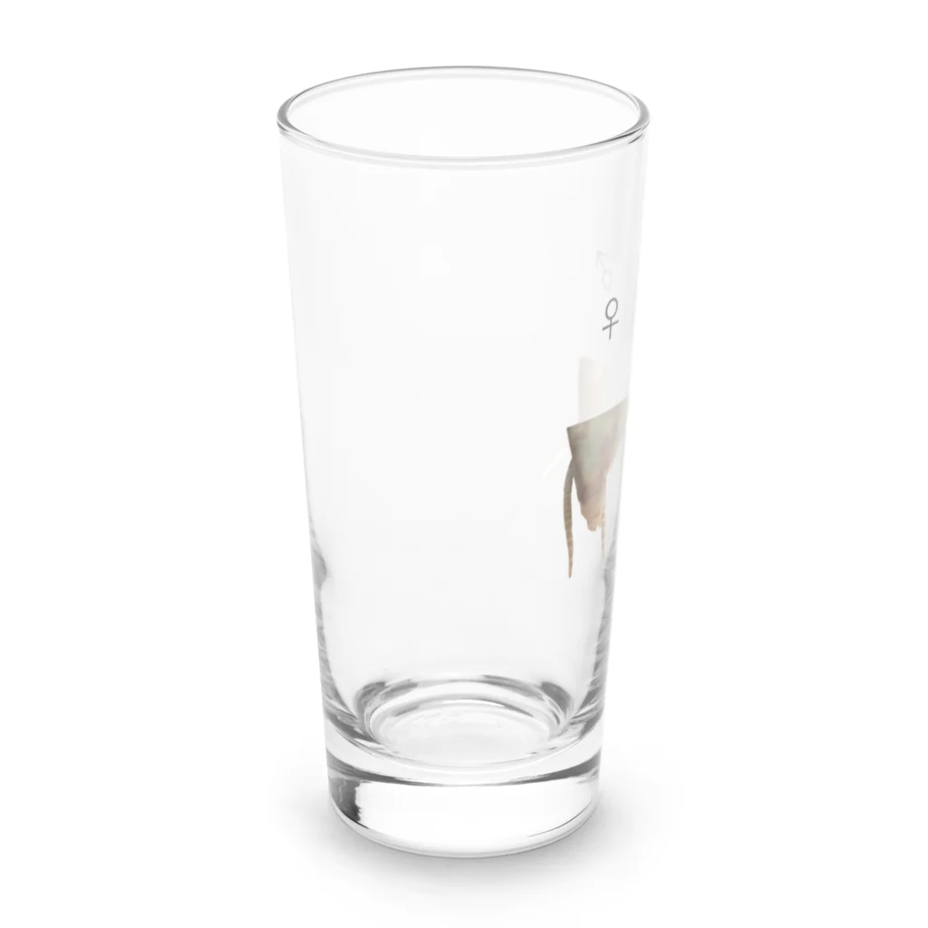 L_arctoaのカマキリの雌雄（背景透過ver） Long Sized Water Glass :left