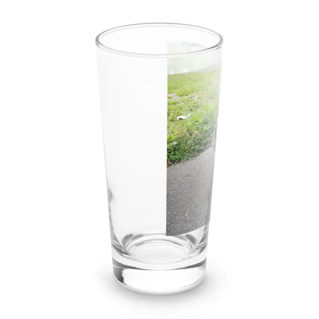 ながしっぽ from.さくらねこの家のとらちゃん　type.D Long Sized Water Glass :left