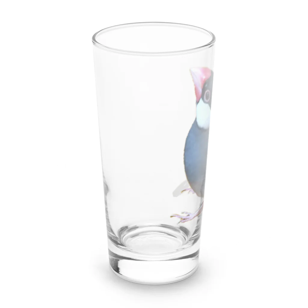 harupink🌸ペット似顔絵illustの文鳥の王様 Long Sized Water Glass :left