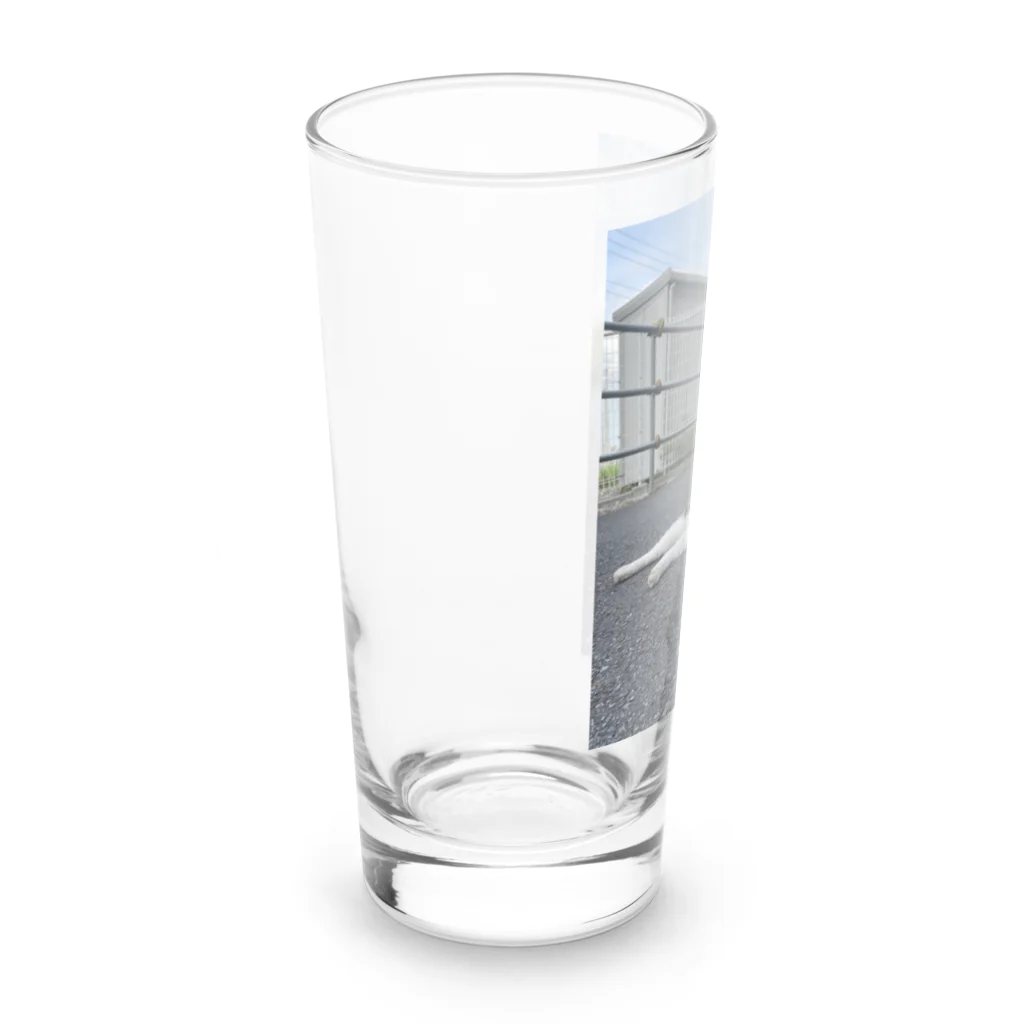 ながしっぽ from.さくらねこの家のながしっぽ　type．Ｉ Long Sized Water Glass :left