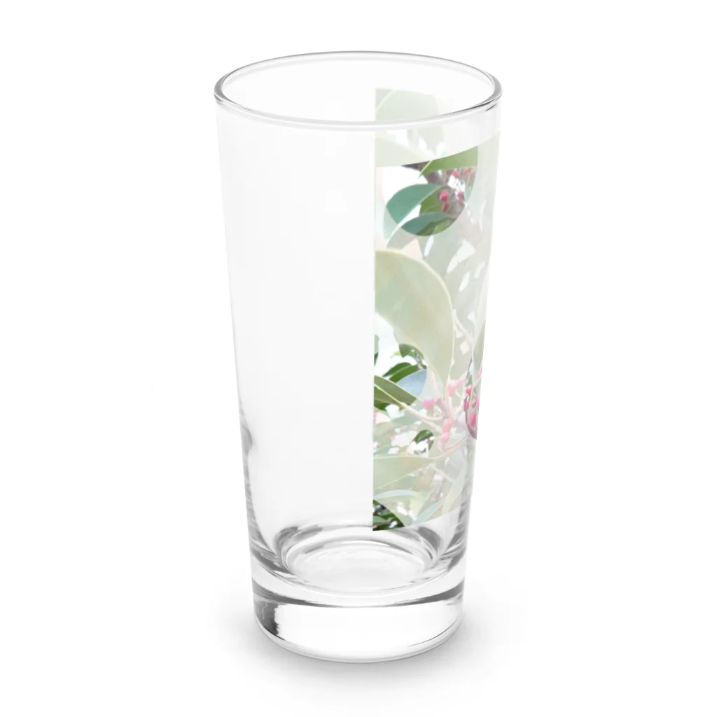 Lily bird（リリーバード）のピラカンサス（？）photo 正方形 Long Sized Water Glass :left