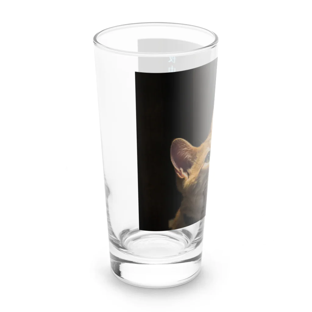 蛍石の夜中の君は　勘定に入れない Long Sized Water Glass :left