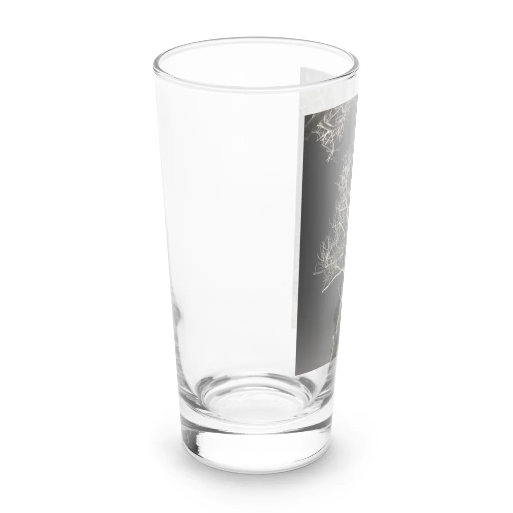 空屋　sorayakusakaの202001121944000　夜の樹木 Long Sized Water Glass :left