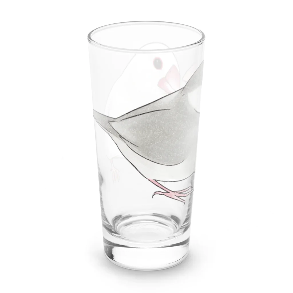 まめるりはことりの幸せ文鳥ちゃん【まめるりはことり】 Long Sized Water Glass :left