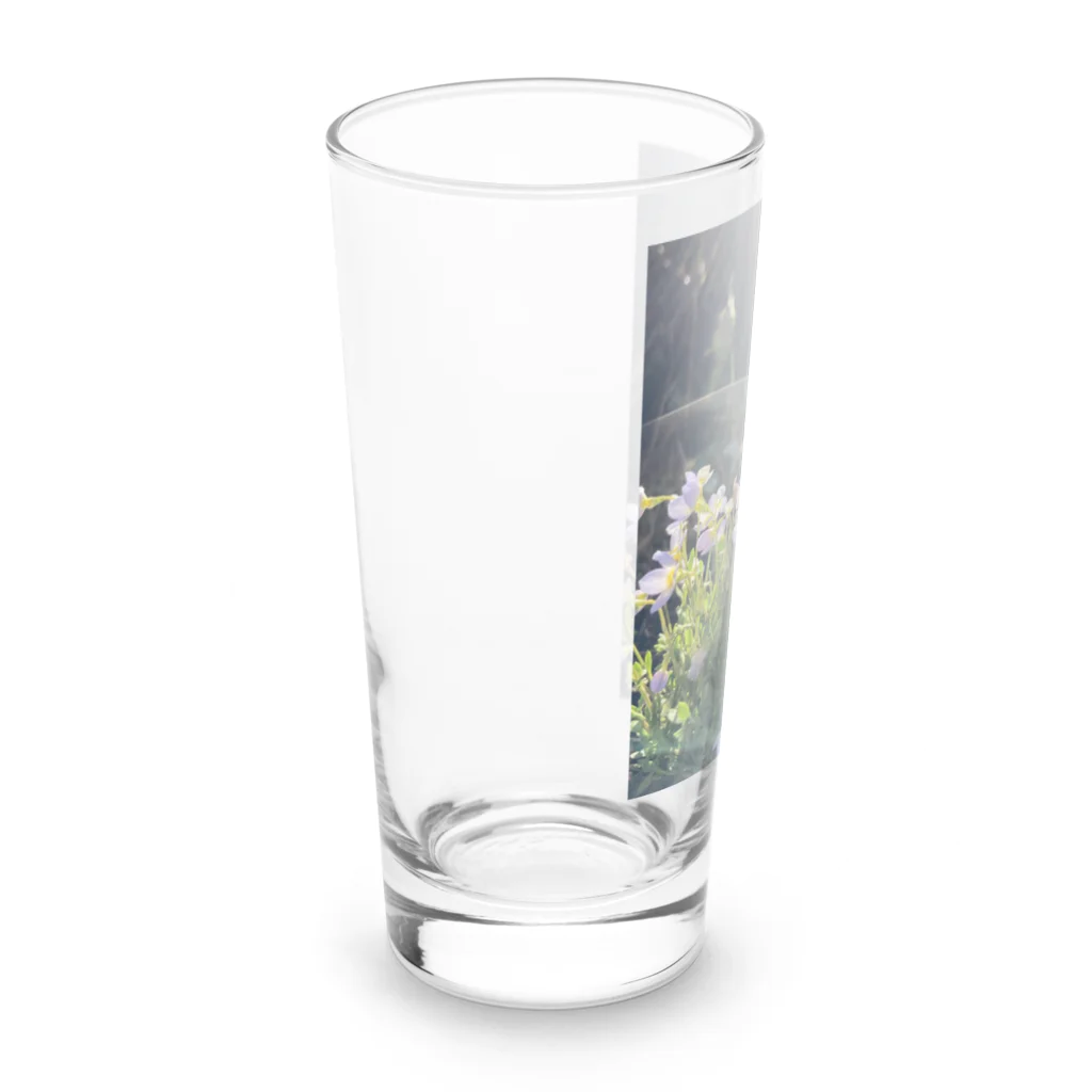 💖宇宙整体♪🌈♪こころからだチャンネル♪💖の植物のオーラ Long Sized Water Glass :left