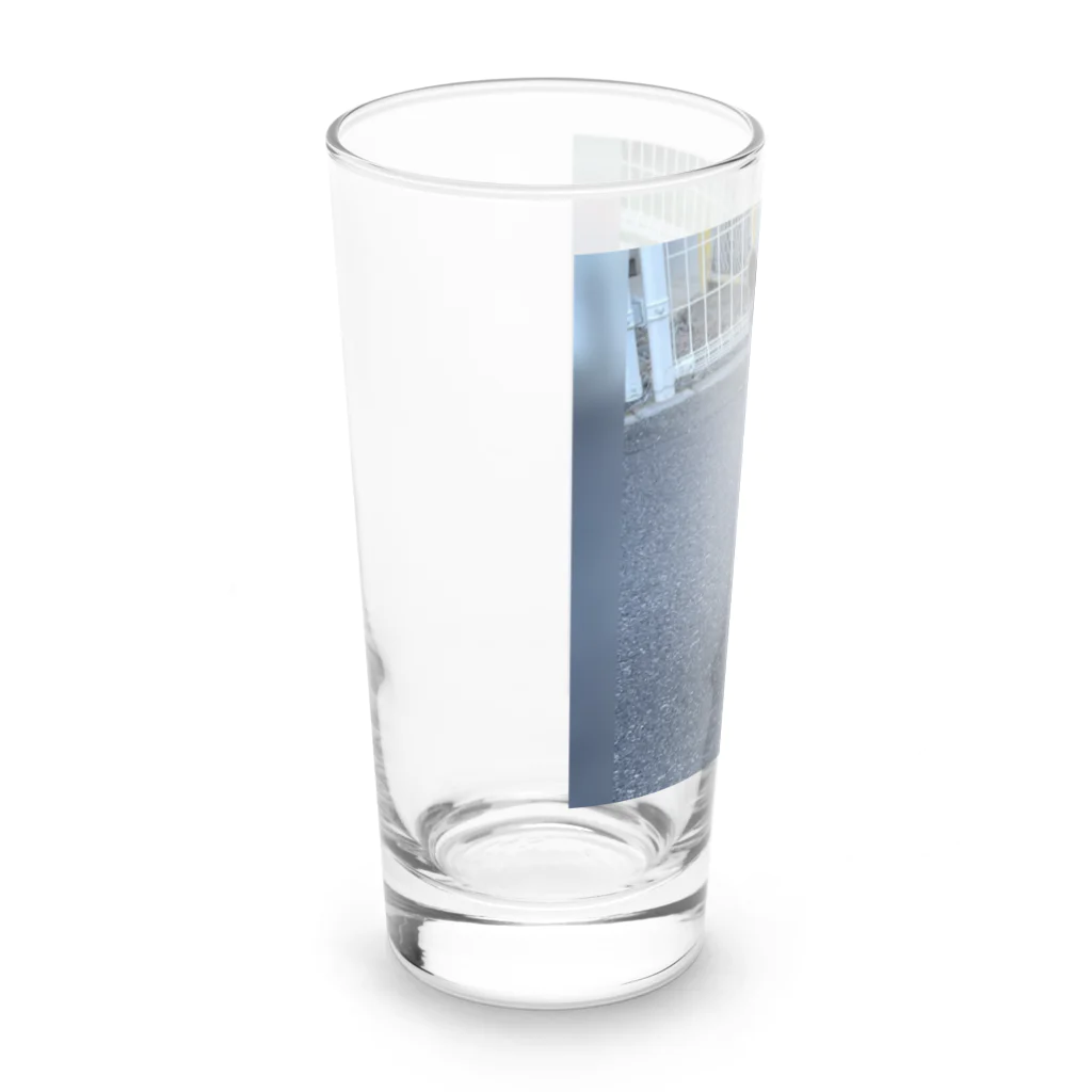 ながしっぽ from.さくらねこの家のながしっぽ　type.Ｊ Long Sized Water Glass :left