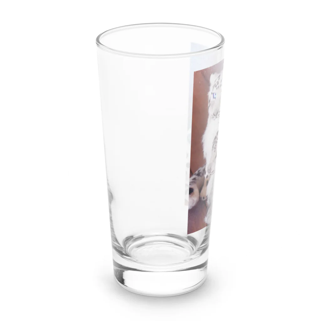 羊毛けだまkanaのユキヒョウもっふもふ02 Long Sized Water Glass :left