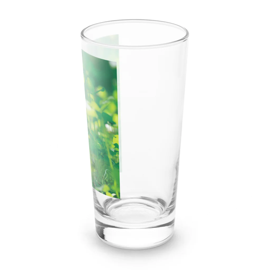 akane_art（茜音工房）の癒しの風景（クローバー） Long Sized Water Glass :right