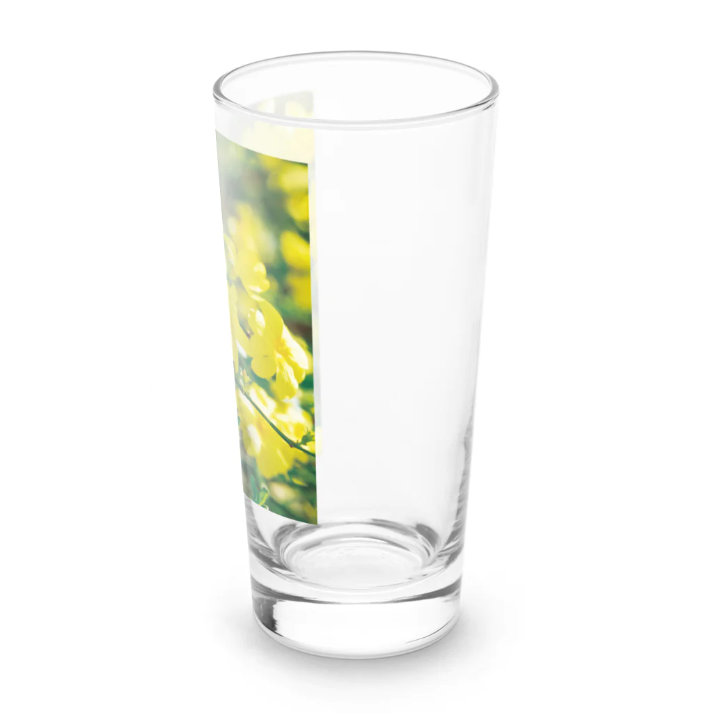 akane_art（茜音工房）の癒しの風景（オウバイ） Long Sized Water Glass :right