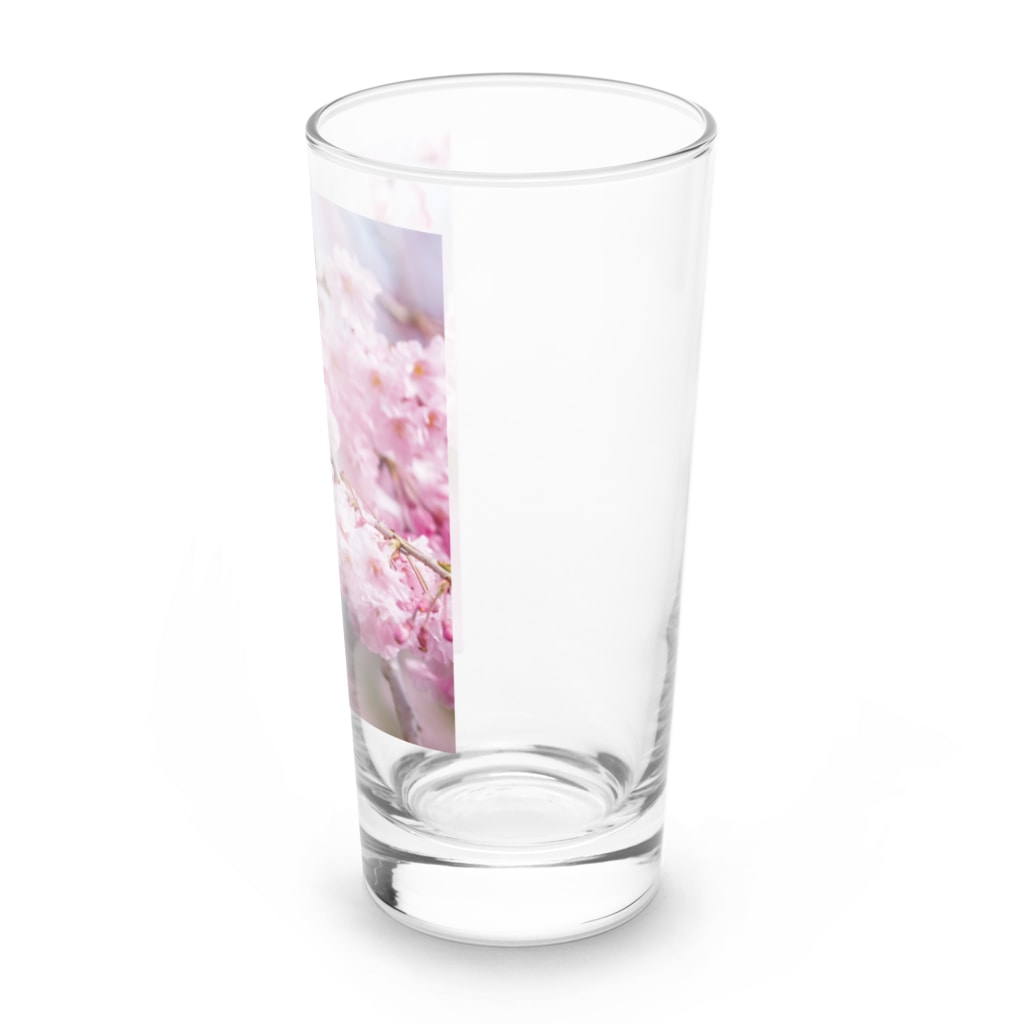 akane_art（茜音工房）の癒しの風景（八重桜） Long Sized Water Glass :right