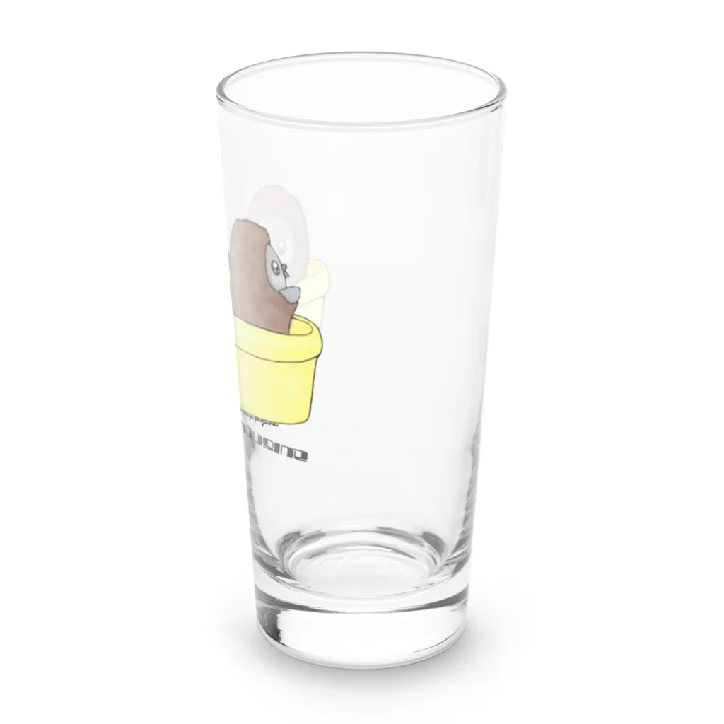 ヤママユ(ヤママユ・ペンギイナ)のタライリムジン(ケープ、マゼラン、フンボルト) Long Sized Water Glass :right