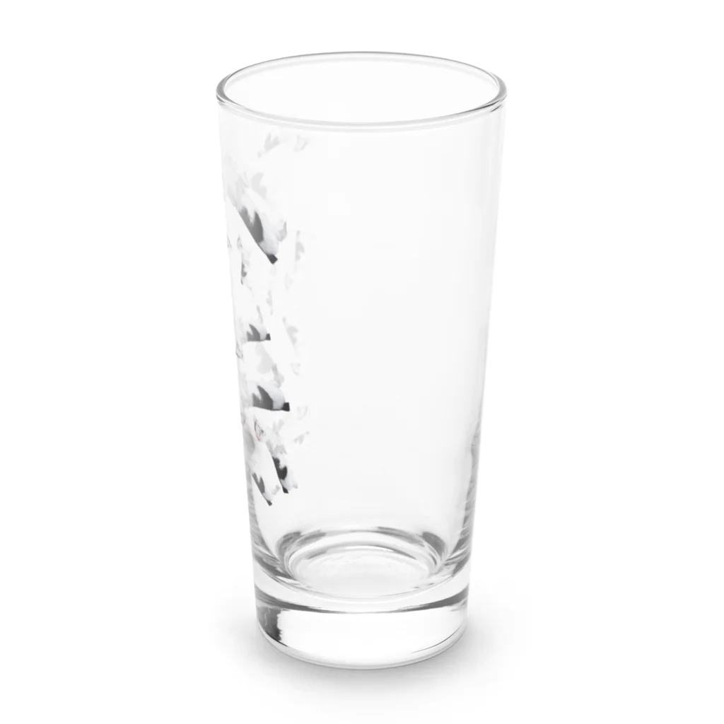 猫のぶんたshopの愉快な仲間たち ( かつら ) Long Sized Water Glass :right