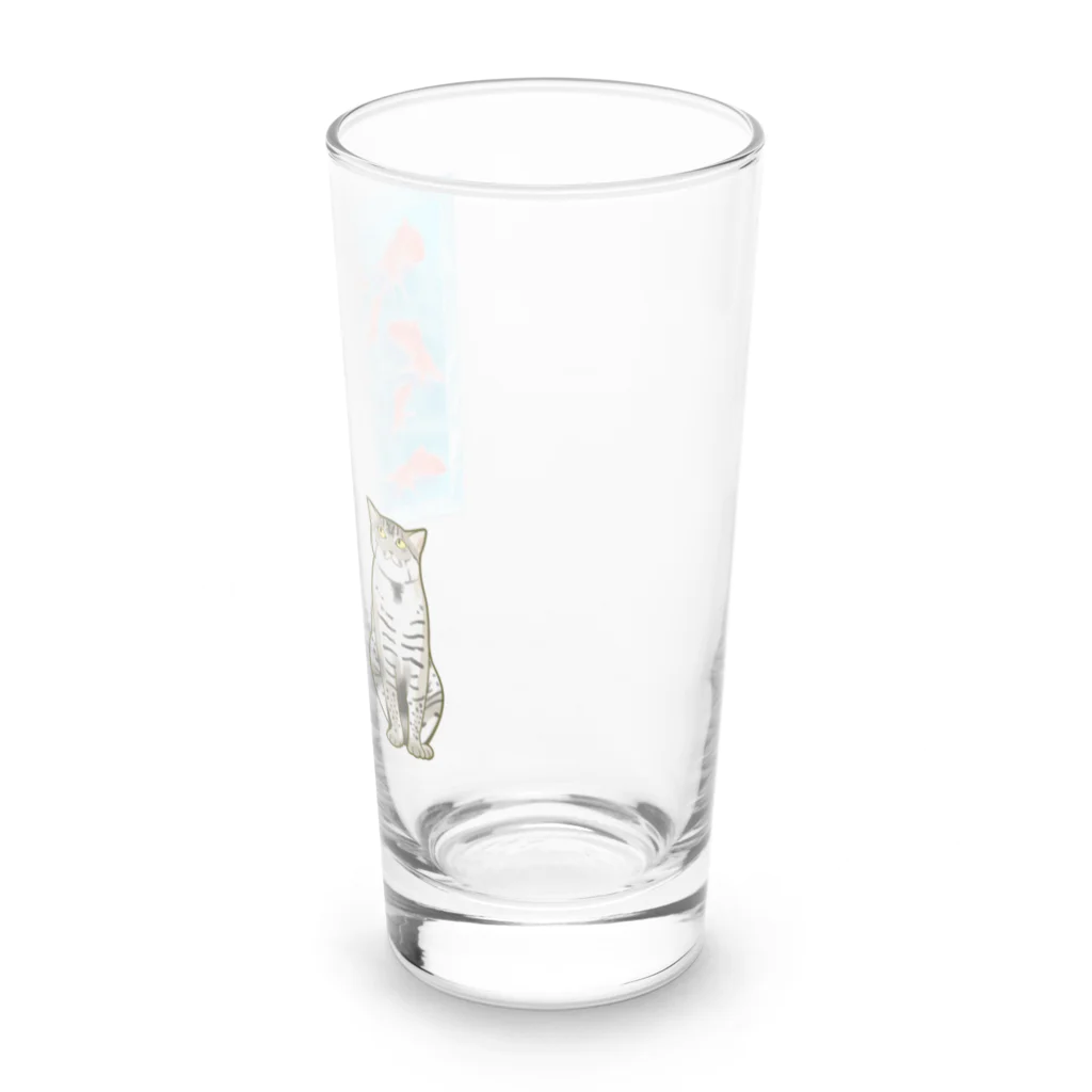 いろはにゃんこ堂の金魚をガン見するスナドリネコさん Long Sized Water Glass :right