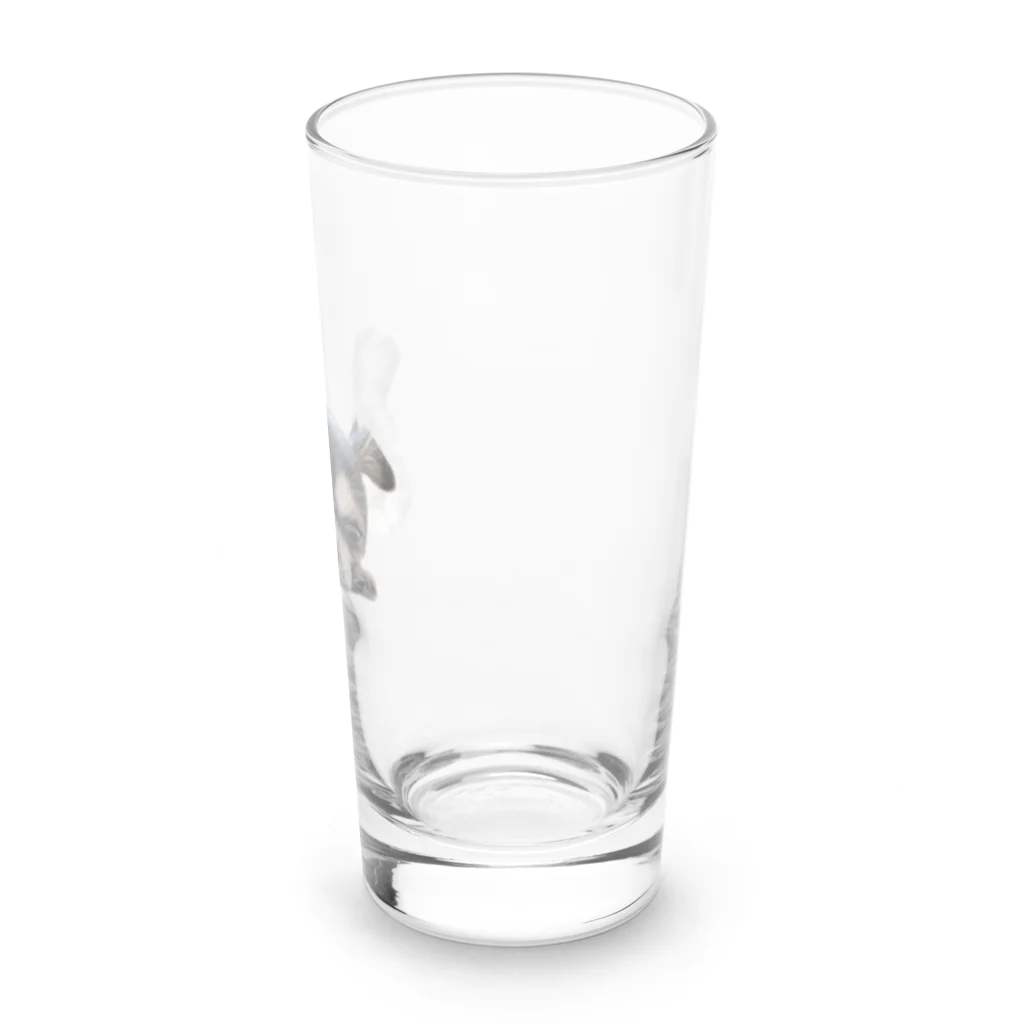 【ホラー専門店】ジルショップの可愛いチワワ＊犬＊わんこ＊動物 Long Sized Water Glass :right