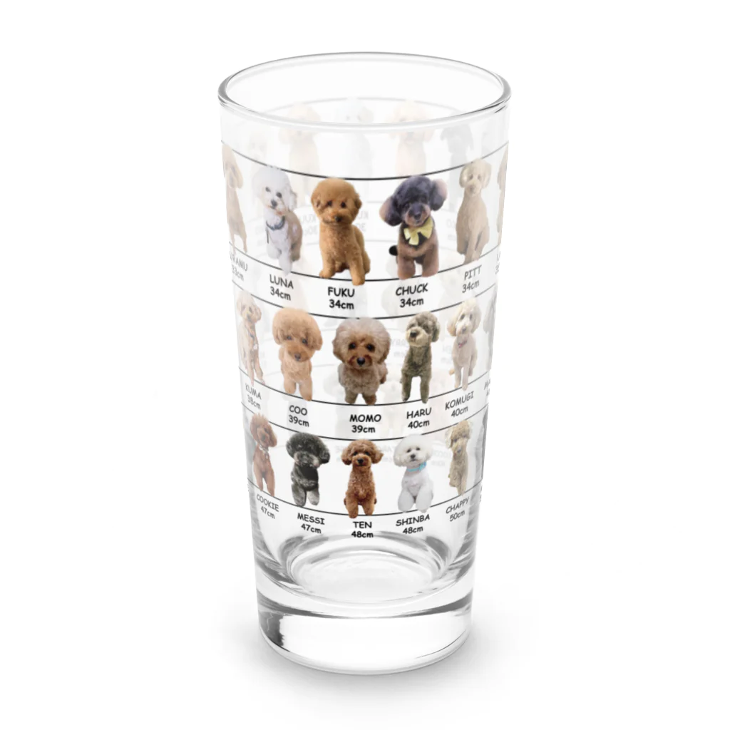 かえるのトイプードル身体測定 Long Sized Water Glass :right