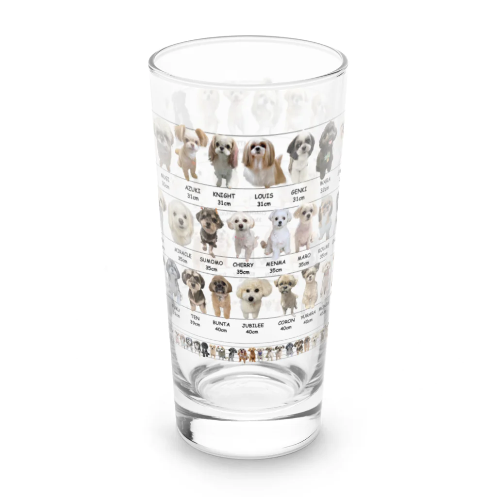 かえるのミックス犬身体測定 Long Sized Water Glass :right