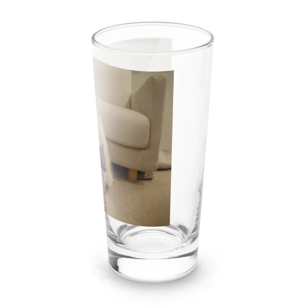 ミツル　(旧約326)のネネ Long Sized Water Glass :right