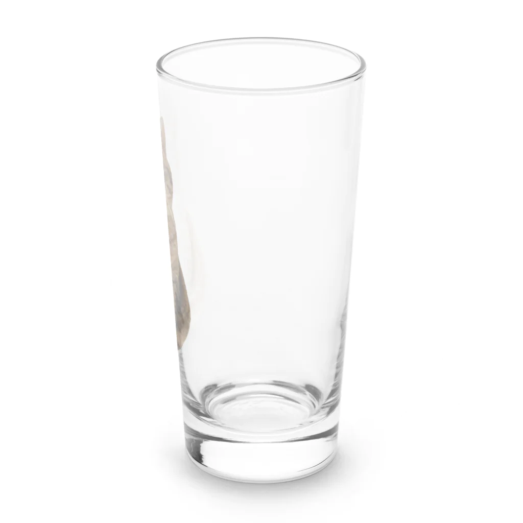 城のまんまるまるぴ Long Sized Water Glass :right