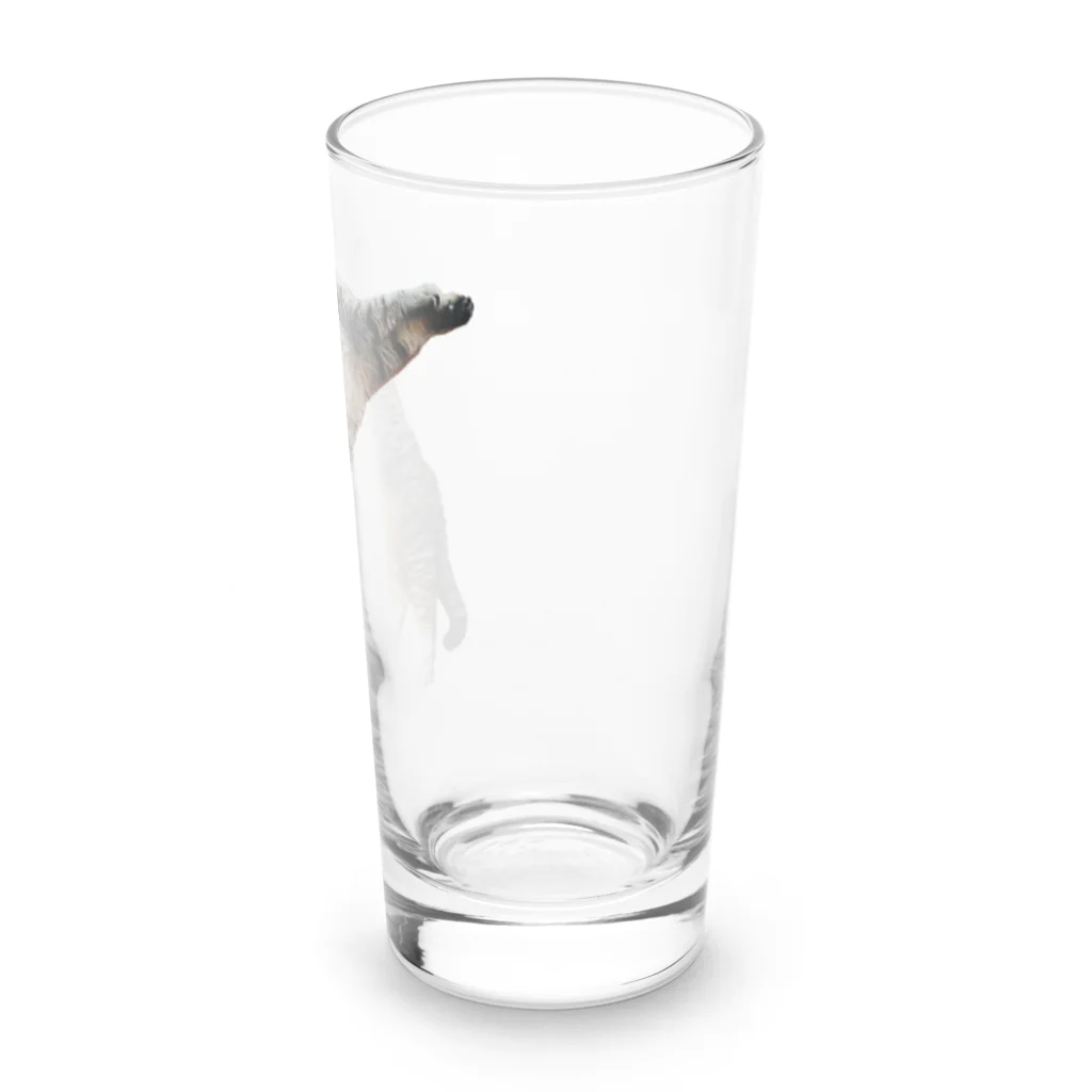 城ののびのびまるぴ Long Sized Water Glass :right