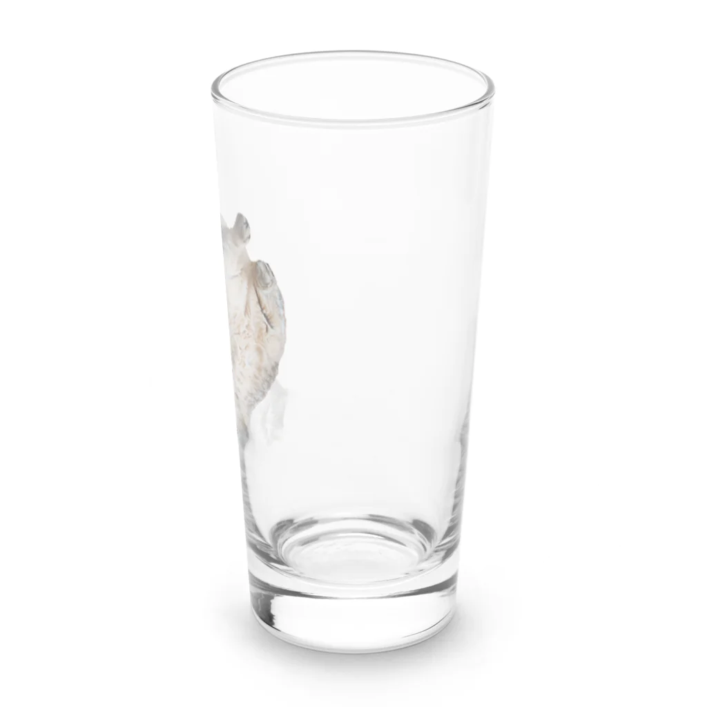 城の3月17日の落ちてる猫です Long Sized Water Glass :right