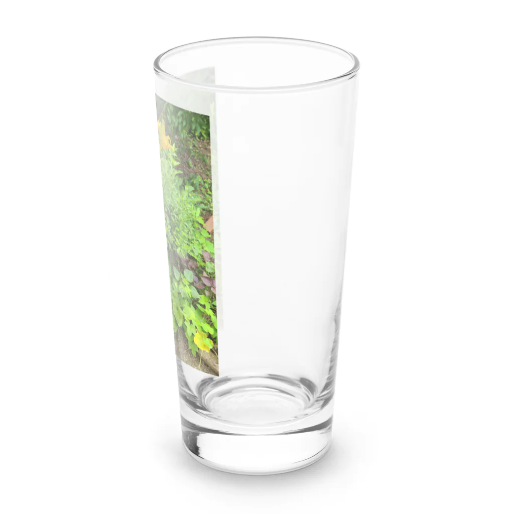 東綬のノカンゾウ Long Sized Water Glass :right