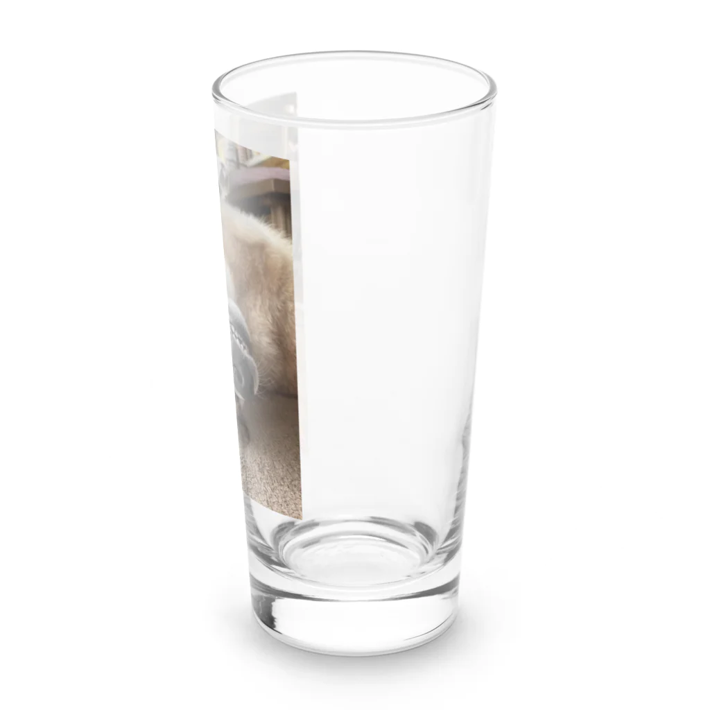 hyogo3000のMugi is Tanuki Long Sized Water Glass :right