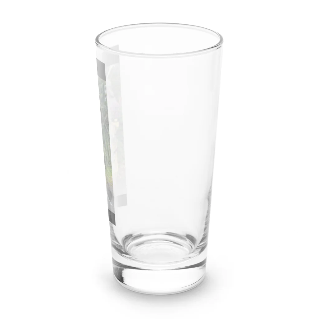 伊賀の鎧屋 の鎌倉の重鎮13人シリーズ 足立右馬寮遠元！ Long Sized Water Glass :right