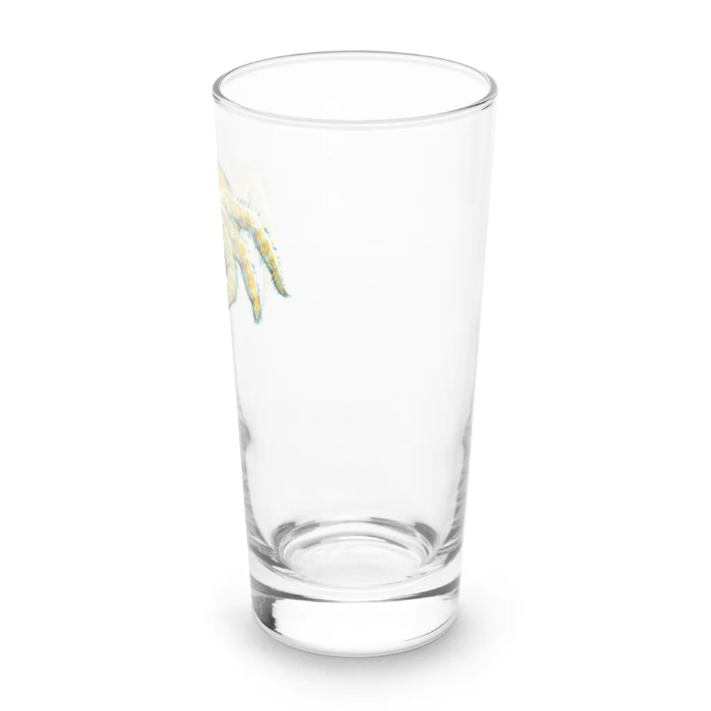 924号のハエトリグモっぽい柄 Long Sized Water Glass :right