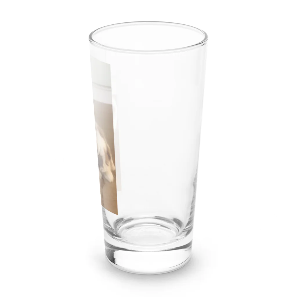 sam117のちゃめさん Long Sized Water Glass :right