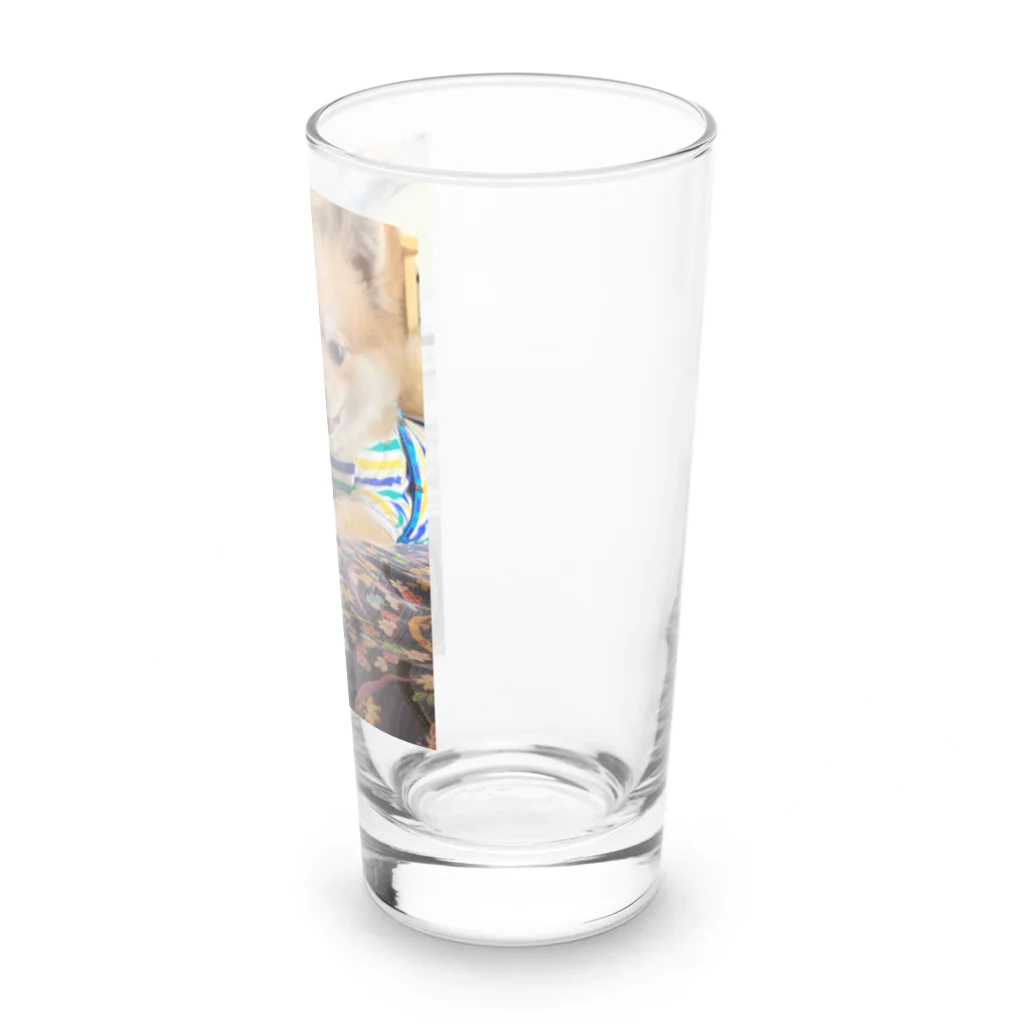 takirairaのごま吉 Long Sized Water Glass :right